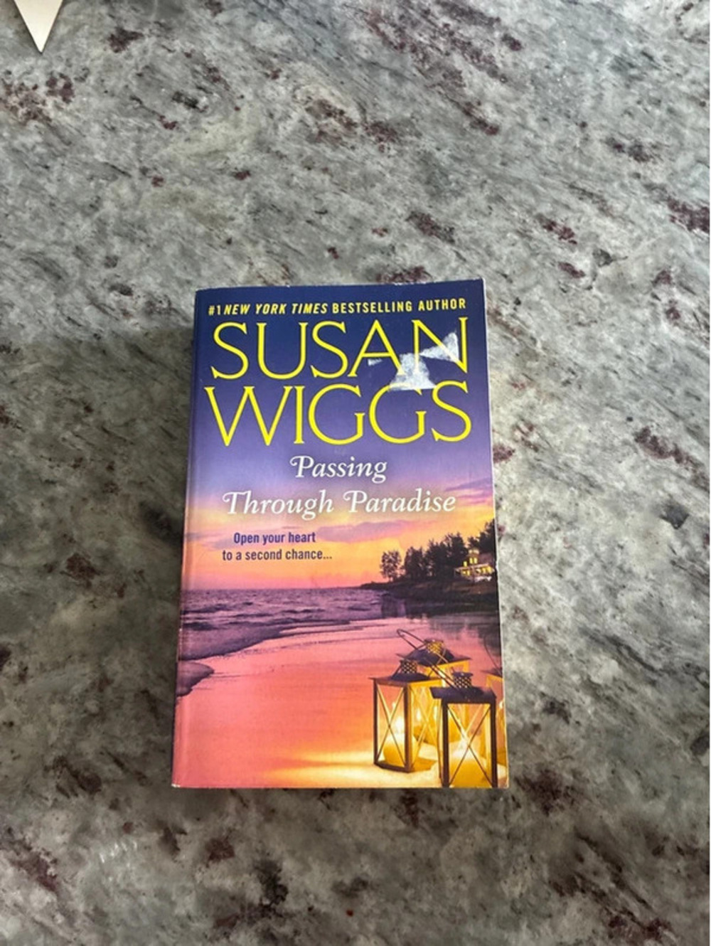 Susan Wiggs - Passing Through Paradise